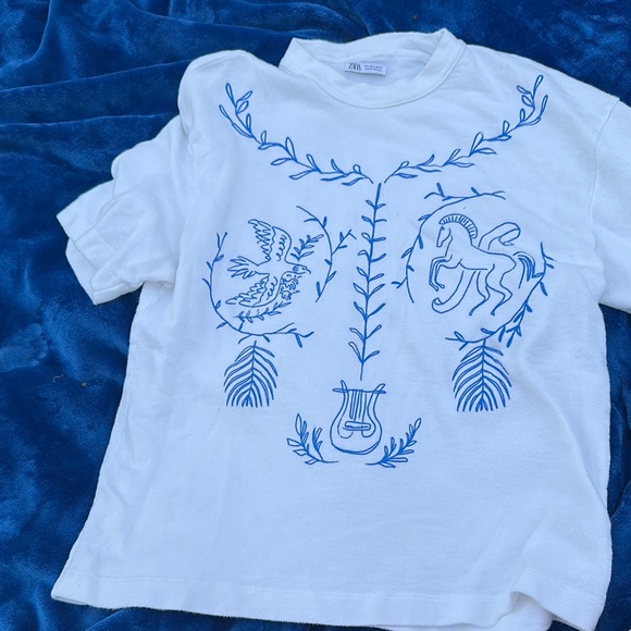 Zara Other - Zara size L White and Blue Embroidered Shirt